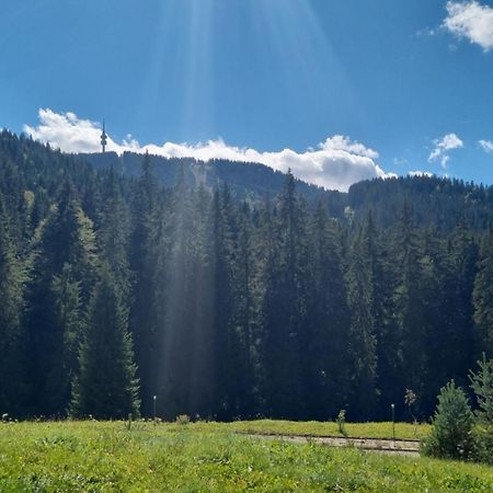 Elit Pamporovo Accommodation Kültér fotó