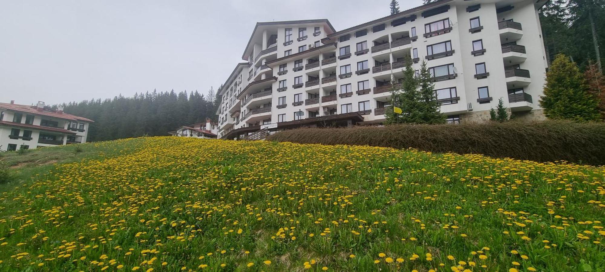 Elit Pamporovo Accommodation Kültér fotó