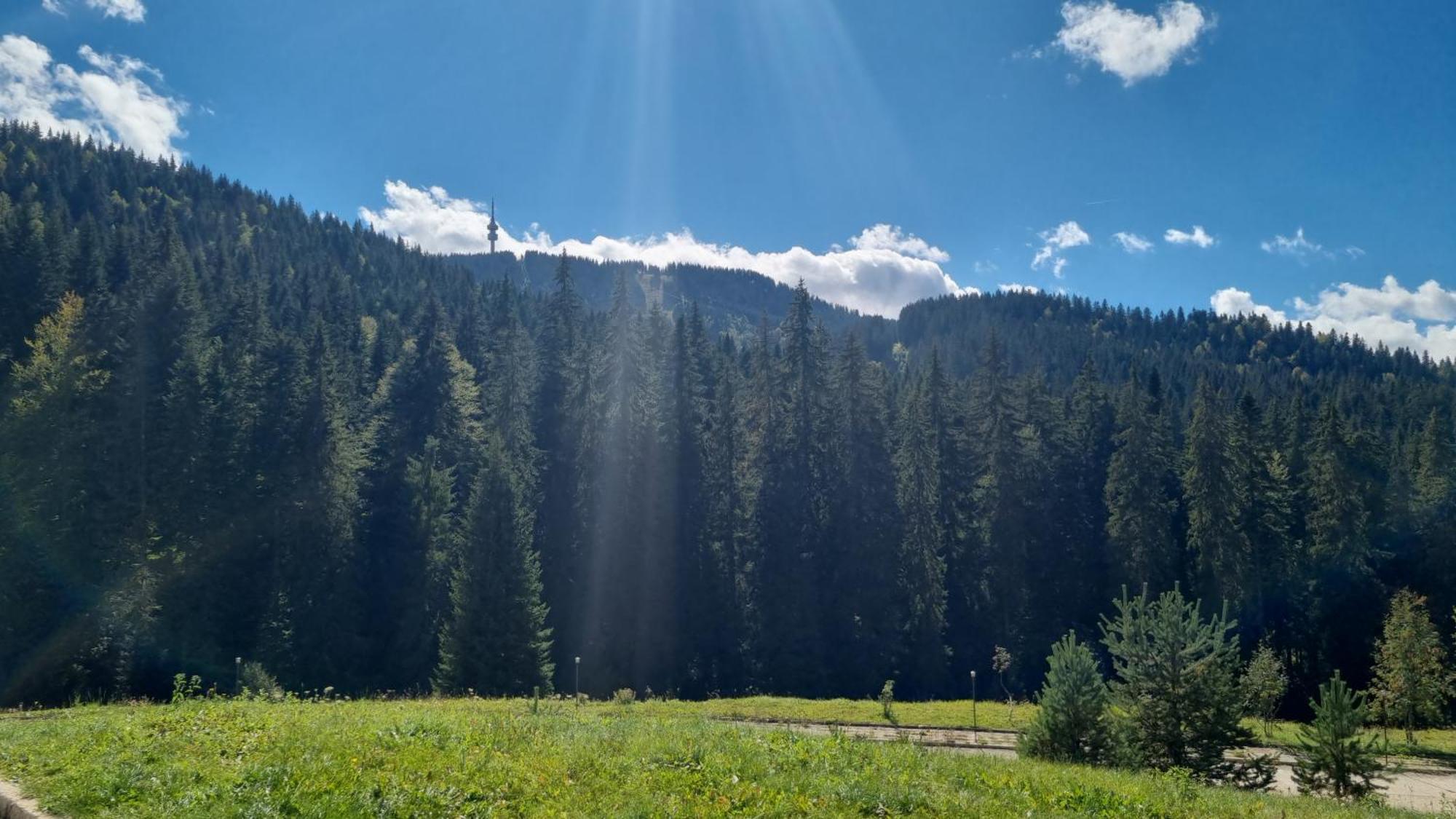 Elit Pamporovo Accommodation Kültér fotó