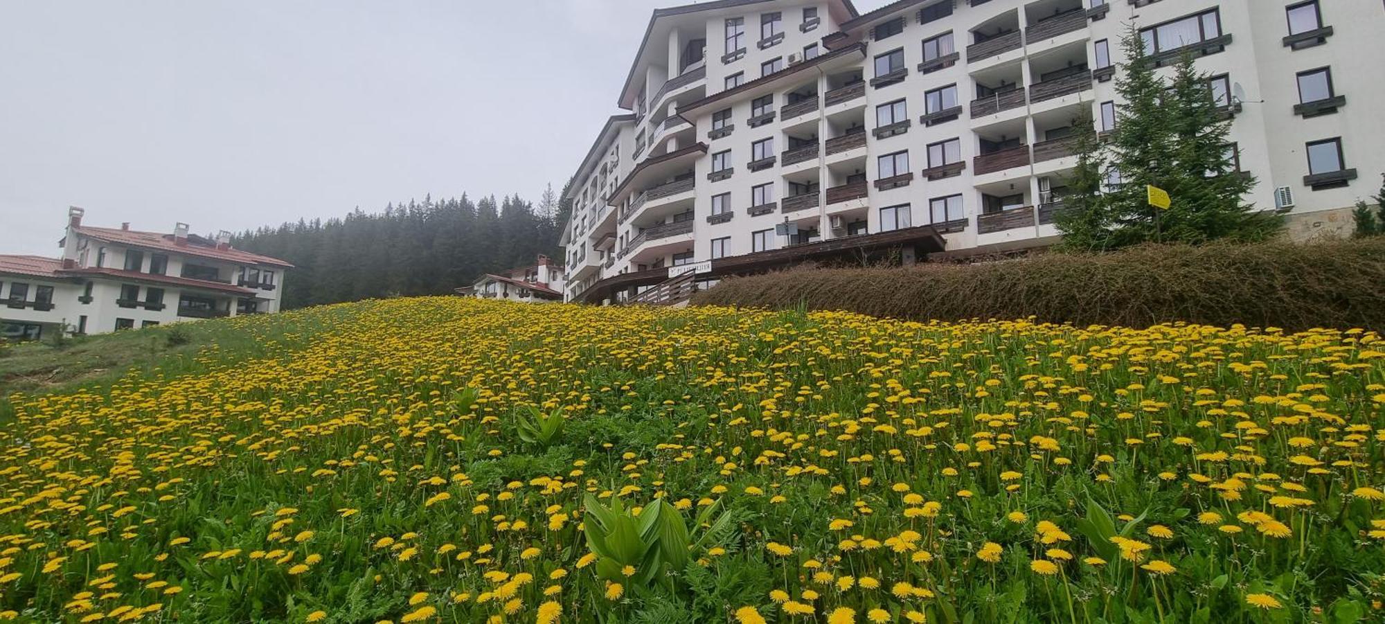 Elit Pamporovo Accommodation Kültér fotó
